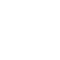 ico-seguridad